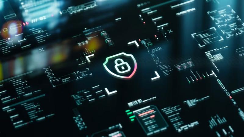 东洲区软件开发公司